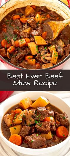 beef stew with carrots and potatoes in a white bowl