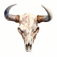 an animal's skull with long horns is shown on a white background in this illustration