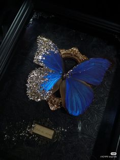 a blue butterfly sitting on top of a piece of gold and silver jewelry in a black box