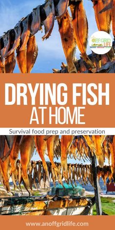 drying fish at home survival food prep and preservatition