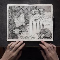 a person holding up an open book with drawings on the pages and writing underneath it