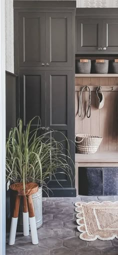 an entry way with a potted plant in the corner and other items on shelves