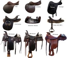 different types of saddles and bridles for horses