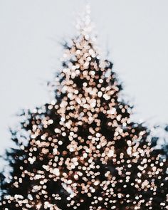 a large christmas tree with lights on it