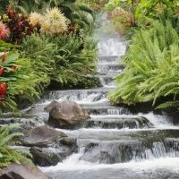 there is a waterfall in the middle of some plants