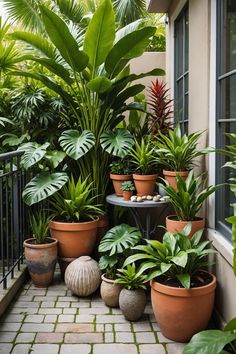 many potted plants on the outside of a house