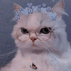 a white cat wearing glasses with hearts on it's head