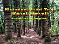 a trail in the woods with text reading sleeping giant tail kauai, hawaii adventures of wife squared