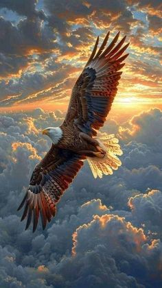 Golden Eagle Flying, Desert Pics, Pictures Of Nature, Eagle Drawing, Eagle Images, Eagle In Flight, Eagle Pictures, Brother Bear, Good Night Flowers