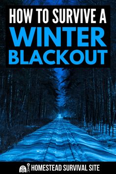 the cover of how to survive a winter blackout, with text overlaying it