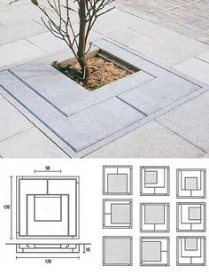 an image of a small tree in the middle of a sidewalk with pictures around it