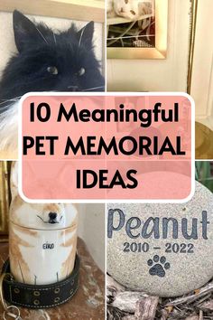 a collage of pictures with the words 10 meaningful pet memorial ideas