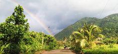 a rainbow in the sky over a dirt road with trees and bushes on both sides