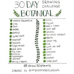 the 30 day drawing challenge is here to help you learn how to draw botanical plants