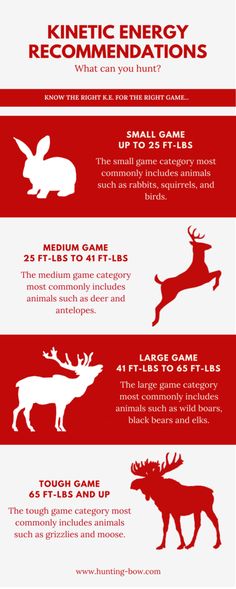 the different types of animals that can be seen in this info sheet, which includes information about