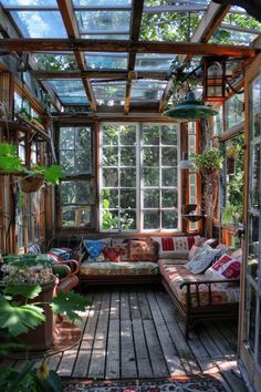 a sun room with lots of plants in it