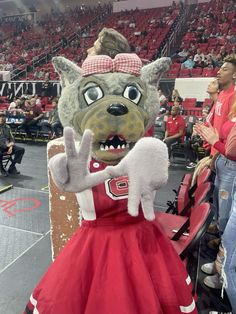 a woman in a red dress standing next to a wolf mascot at a basketball game