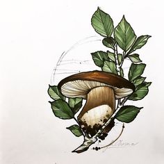 a drawing of a mushroom and leaves on a white background