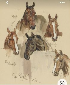 four horses are shown in this drawing