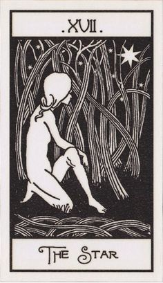 the star tarot card with an image of a woman kneeling in front of trees