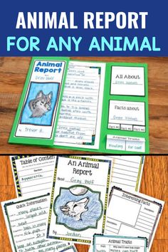 an animal report for any animal with text overlay that reads, animal report for any animal