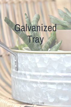 a potted plant with the words galvaniized tray above it in front of a wicker chair