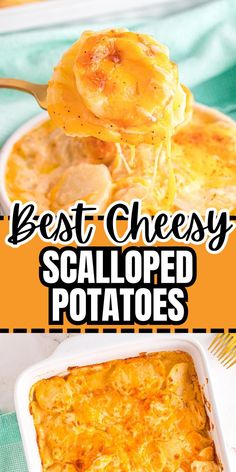 Collage of bowlful of scalloped potatoes at top and overhead shot of baking dish full of scalloped potatoes at bottom. Cheesy Scalloped Potatoes Recipe, Scalloped Potatoes Easy, Cheesy Scalloped Potatoes, Creamy Cheese Sauce, Potatoes Onions, Scalloped Potatoes Cheesy