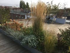 a wooden deck with plants and shrubs on it