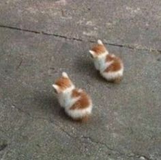 two small kittens are sitting on the sidewalk