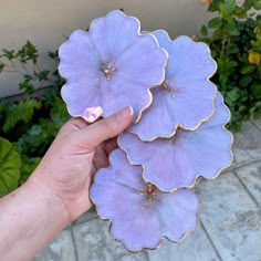 a hand holding three purple flowers in front of some bushes and plants on the sidewalk