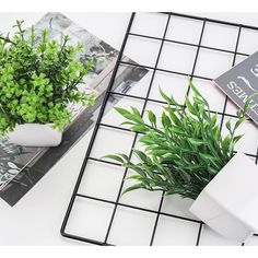 two potted plants sitting on top of a white table next to a book and magazine