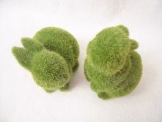 two small green plants sitting on top of a white surface