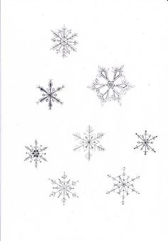 six snowflakes are shown in black and white on a sheet of paper,