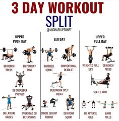 the 3 day workout plan includes exercises to build muscle