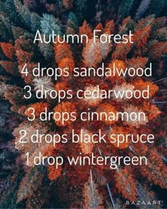 Diy Deodorizer, Fall Diffuser Blends, Oil Remedies