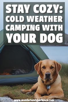 a dog laying in front of a tent with the words stay cozy cold weather camping with your dog