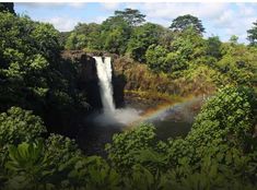 a waterfall with a rainbow in the middle surrounded by trees