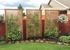 a fence with plants growing on it in front of a house and grass area next to the fence