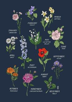 an image of different flowers on a blue background