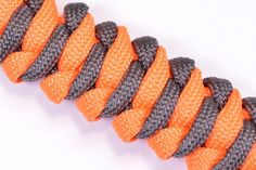 an orange and grey paracorine cord