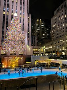 people skating around an ice rink in front of a large christmas tree with lights on it