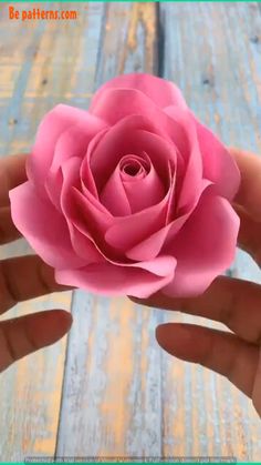 a person holding a pink flower in their hand