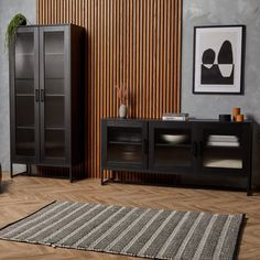 a living room scene with focus on the cabinet and rug