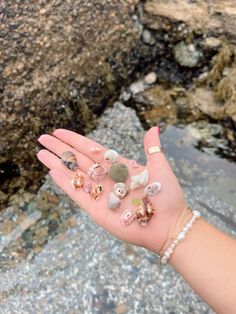 a person's hand with various seashells on it and rocks in the background