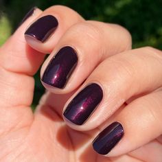 Clients who want to go deeper for summer will be captivated by this delicious black-red shade. It's extra stunning in the sunlight. 🍒 By: @mylacqueredlife on IG Shade: #BlackCherryChutney #OPI #OPIObsessed #ColorIsTheAnswer #DarkRedNails #DarkRedMani #DarkManis #DarkNails #Nails #Mani #IridescentNails Black Cherry Nail Polish, Opi Black Cherry Chutney, Dark Nail Colors, Black Cherry Nails, Pearl Nail Polish, Cherry Chutney, Thanksgiving Nails Color, Opi Black, Ruby Nails