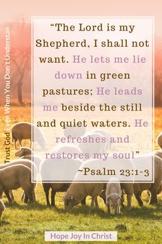 a herd of sheep grazing in a field with a bible verse about the lord is my shepherd i shall not want he lets me lie down