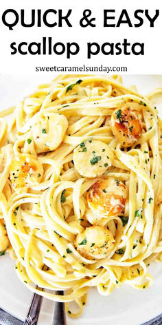 Cooked pasta with scallops on white plate with chopped parsley. There is text written at the top of the image. Scallop Shrimp Pasta, What To Make With Scallops, Scallops And Pasta Recipe, Scallops Pasta Recipe, Seared Scallops And Pasta, Pasta With Scallops Recipes, Scallop Pieces Recipes, Scallop And Linguine Recipes, Scallop Pasta Recipes