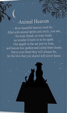 an animal heaven poem with two cats sitting on top of a roof in front of the moon