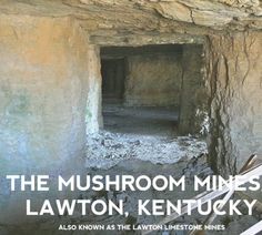 an image of the inside of a cave with text that reads, the mushroom mines / lawton, kentucky