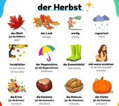 the german language for autumn and fall